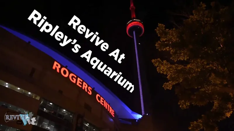 Video still: Ripley's Aquarium of Canada